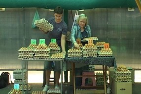 Prodaja jaja i ribe opala za 40 odsto