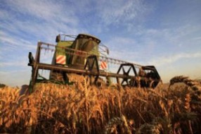 Oglas za prodaju "Agrokombinata"