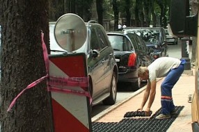 Ozelenjavanje ulice Dure Đaković
