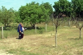 Asfaltiranje dela Bračke ulice ipak moguće