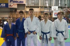 Pet medalja džudista Spartaka na turniru u Temerinu