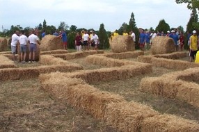 6. Bikovačke Seoske igre bez granica