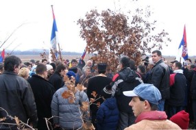 Program za Badnji Dan