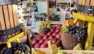 Festival voća u Tavankutu privukao ljubitelje jabuke s peska