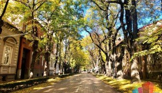 Šetnja stazama secesije u Ulici braće Radić