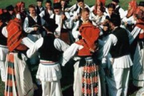 Bunjevci traže katedru za jezik