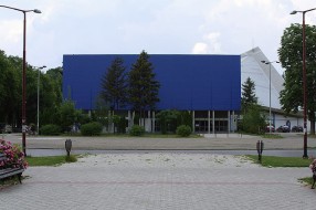 Subotici potrebna višenamenska hala većeg kapaciteta