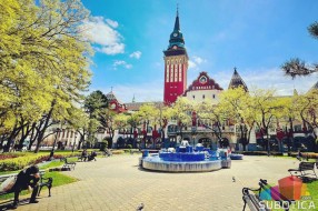 Poskupljenja istanjila kućni budžet - ponovo na delu "stezanje kaiša"?