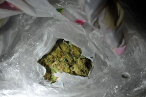 Uhapšene dve osobe iz okoline Subotice i zaplenjeno 4,6 kg marihuane