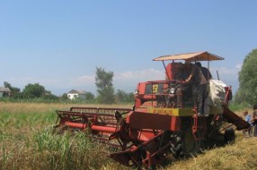 Sejanje, ali bez oranja