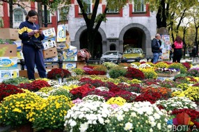 Jesenji festival cveća "Garden flora" na Trgu Republike