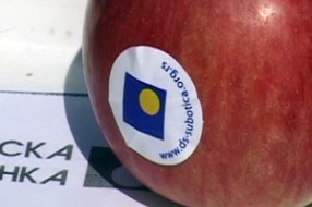 Demokrate krenule u kampanju