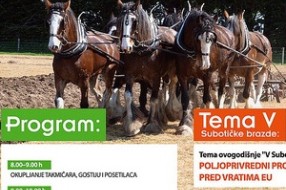 Subotička brazda okuplja orače iz regiona