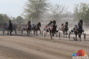 Konjički sport: "Subotička milja" i "Probni derbi" u nedelju na Gradskom hipodromu