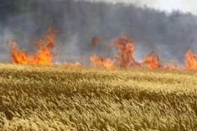 Paljenje strnjike kažnjivo zakonom