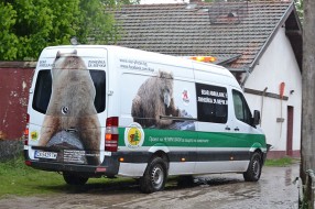 Tri mečeta mrkog medveda napustila Zoo vrt "Palić"