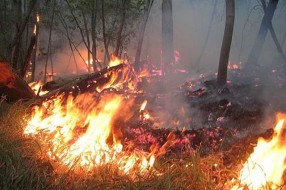Policija i vatrogasci apeluju na odgovorno ponašanje pri paljenju vatre na otvorenom prostoru
