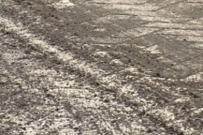 Poledica na putevima