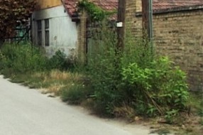 Korov u ulici Bore Stankovića