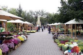 Jesenji vašar cveća "Garden flora" od 24. do 27. oktobra