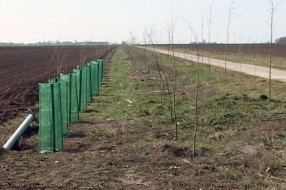 10 kilometara poljozaštitnih pojaseva