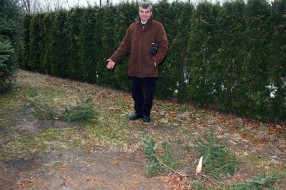 Nagrada za informacije o lopovu