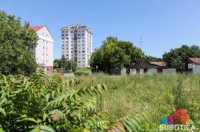 Cvetanje ambrozije u najavi, košenje počelo na vreme