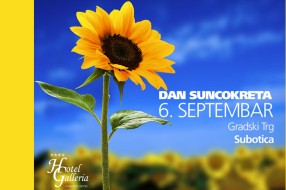 Rudolf Walther: Dan suncokreta