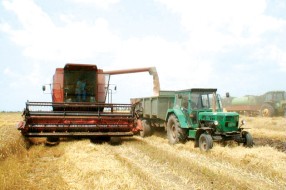 Subotica osnovala Fond za razvoj poljoprivrede