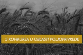 Raspisano pet konkursa u oblasti poljoprivrede