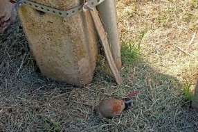 U Hajdukovu sinoć eksplodiralo više ručnih bombi, jedna neaktivirana tokom popodneva uklonjena