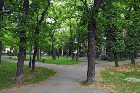 "Otvoreni džem" sutra u parku Ferenca Rajhla