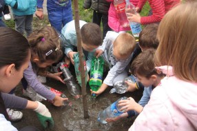 U akciji "Mlada stable za mlade ljude" posađeno 130 sadnica na 7 lokacija