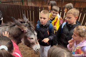 Palićki Zoo vrt dobio nove sadržaje za decu i porodice
