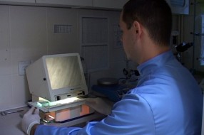 Počela sezona svinjokolja, kontrolišite meso na trihinelu