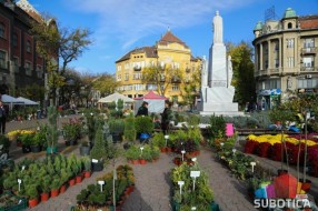 Cveće i sadnice preplavili centar grada