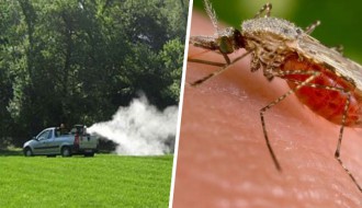 Nastavak akcije suzbijanja komaraca u gradskim naseljima i na Paliću od ponedeljka