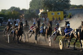 Završene konjičke trke "Dužijanca 2013"