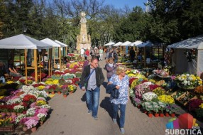 Jesenji vašar cveća u znaku hrizantema