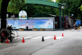 Obnavlja se horizontalna saobraćajna signalizacija