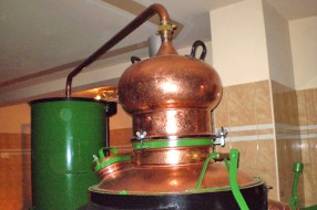 Šampion u proitzvodnji rakije