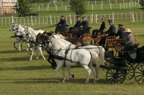 Parada lipicanera i muzej kočija na Kelebiji
