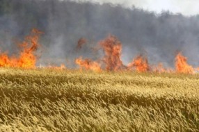 Opasnost od požara na njivama veća nego ikad