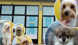 Pet salon "Šape" - kompletna i profesionalna nega kućnih ljubimaca