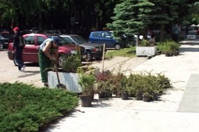 Parking ozelenio 10 žardinjera