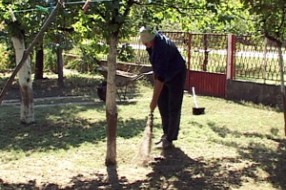 Zaposlenje osoba sa invaliditetom