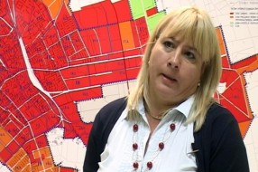 Izvađeno drvo u ulici Braće Ribnikara