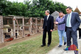 Azil za pse ponovo radi