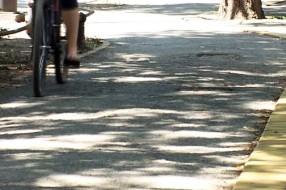 Biciklističke staze u Subotici u lošem stanju