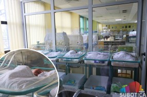 Prva beba rođena u Subotici ove godine je dečak, tokom protekle nedelje 17 rođenih